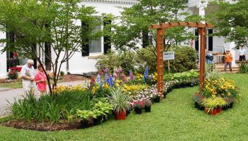 Website page Local Venues item Garden Show