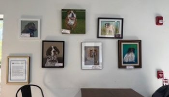 Website page Local Venues item Good Girl